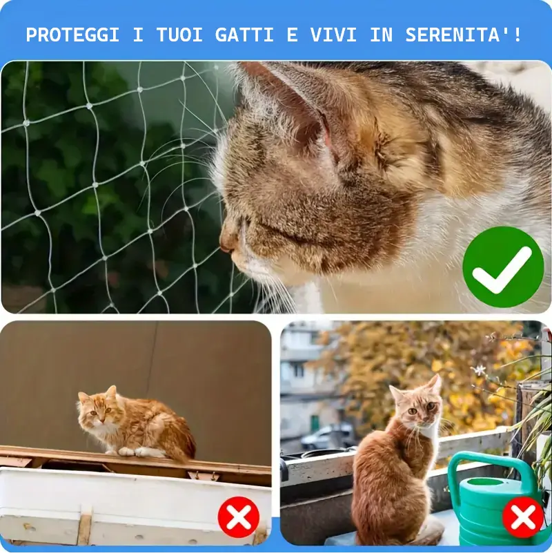 GeoSEO Image